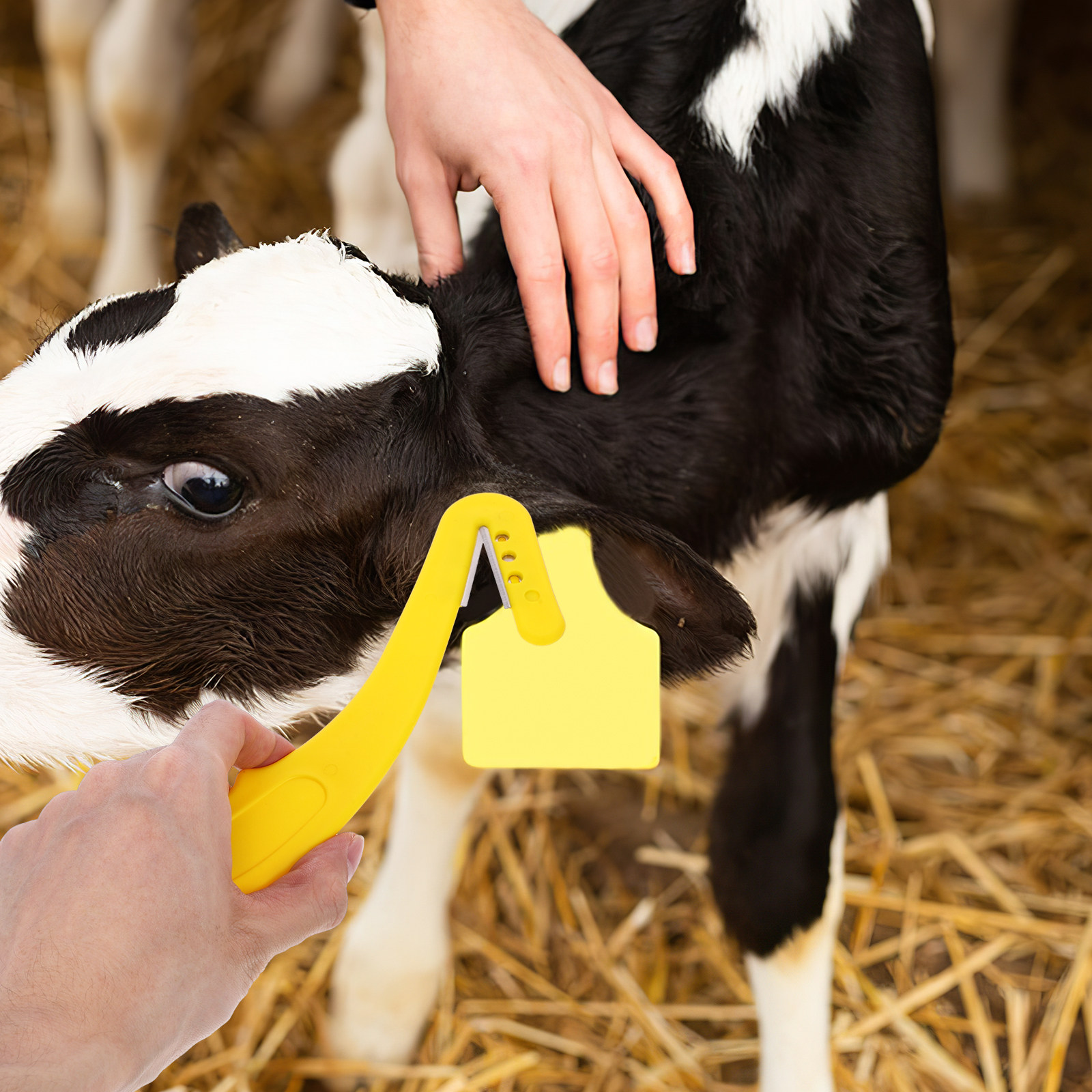Livestock Ear Tag - 2 piezas de herramienta ergonómica para
