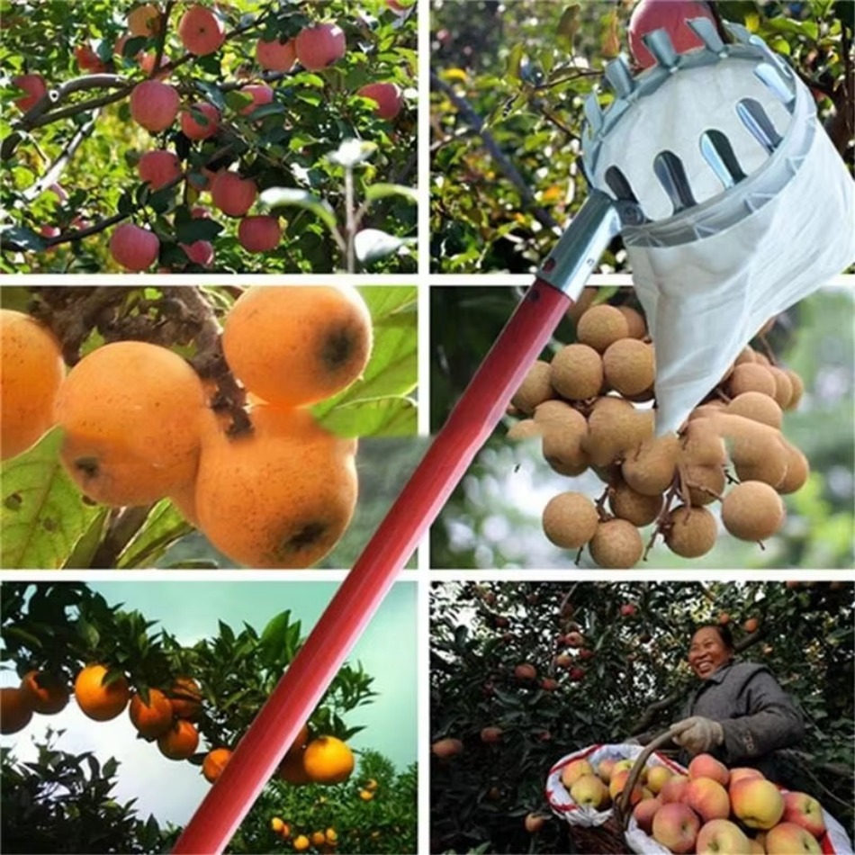 Recolector de frutas de hierro - Farming Tools For Agriculture reseña y precio