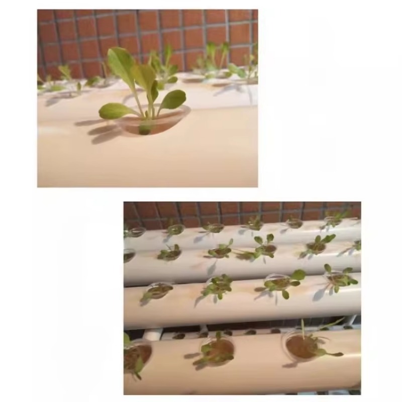 Sistema de Cultivo Hidropónico - Hydroponic Nft Channel reseña y precio