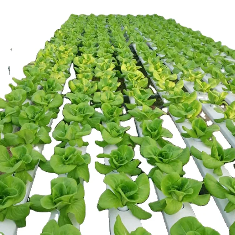 Fabricación de productos Siste - Hydroponic Nft Channel reseña y precio