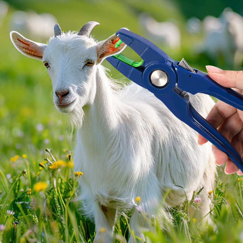 100 Uds. Etiqueta de oreja de  - Livestock Ear Tag reseña y precio