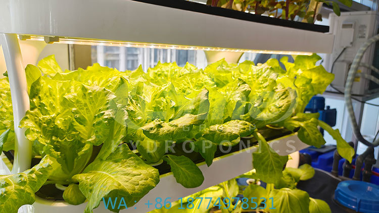 c Máquina agrícola para cultiv - Agriculture Farming Equipments reseña y precio
