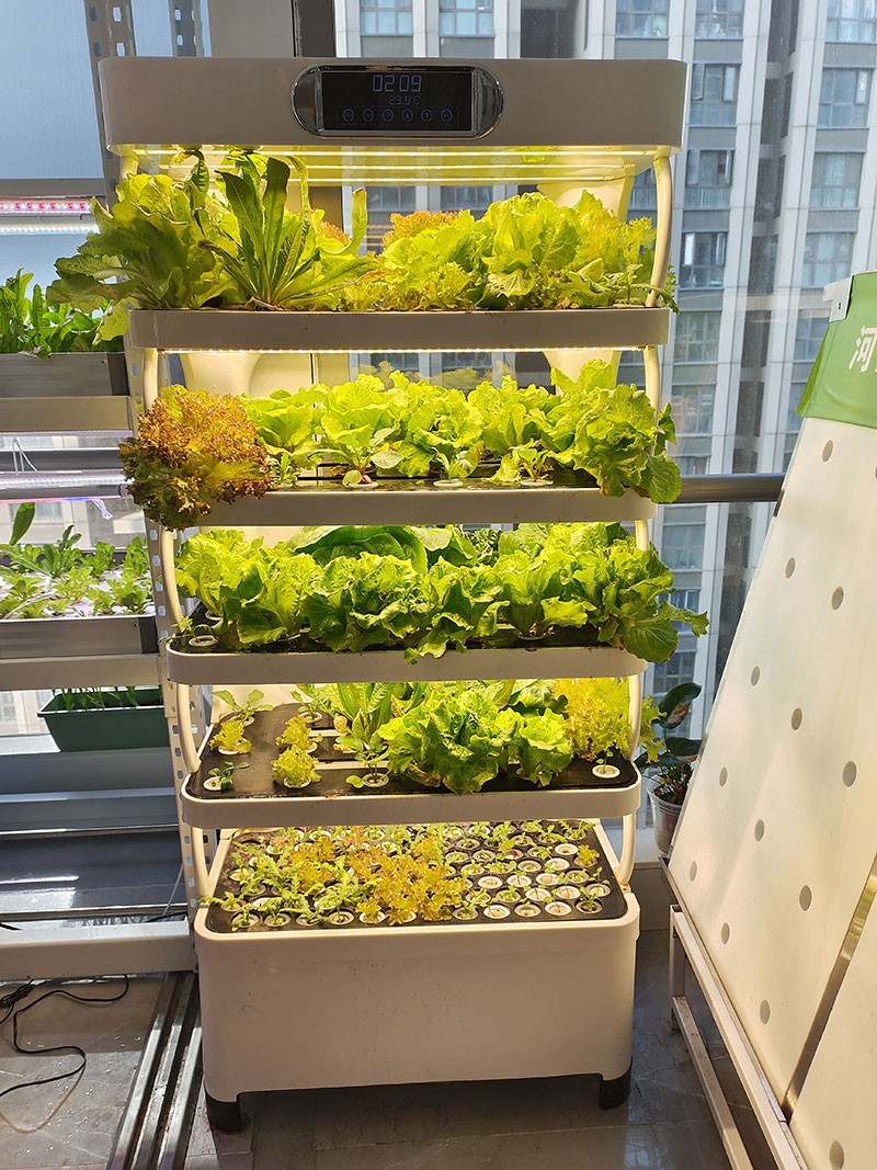 c Máquina agrícola para cultiv - Agriculture Farming Equipments reseña y precio