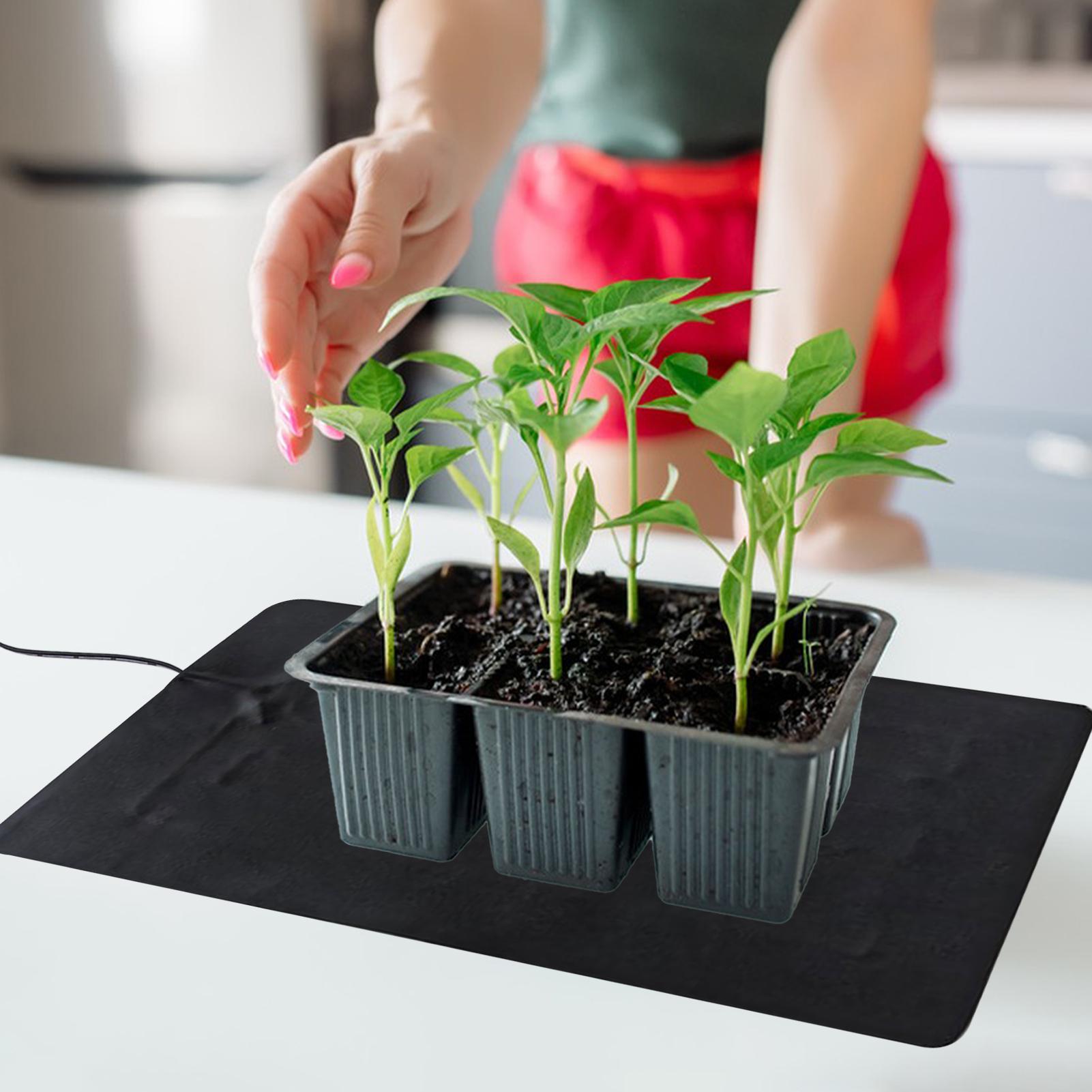 Alfombrilla Térmica para Plánt - Seedling Heat Mat reseña y precio
