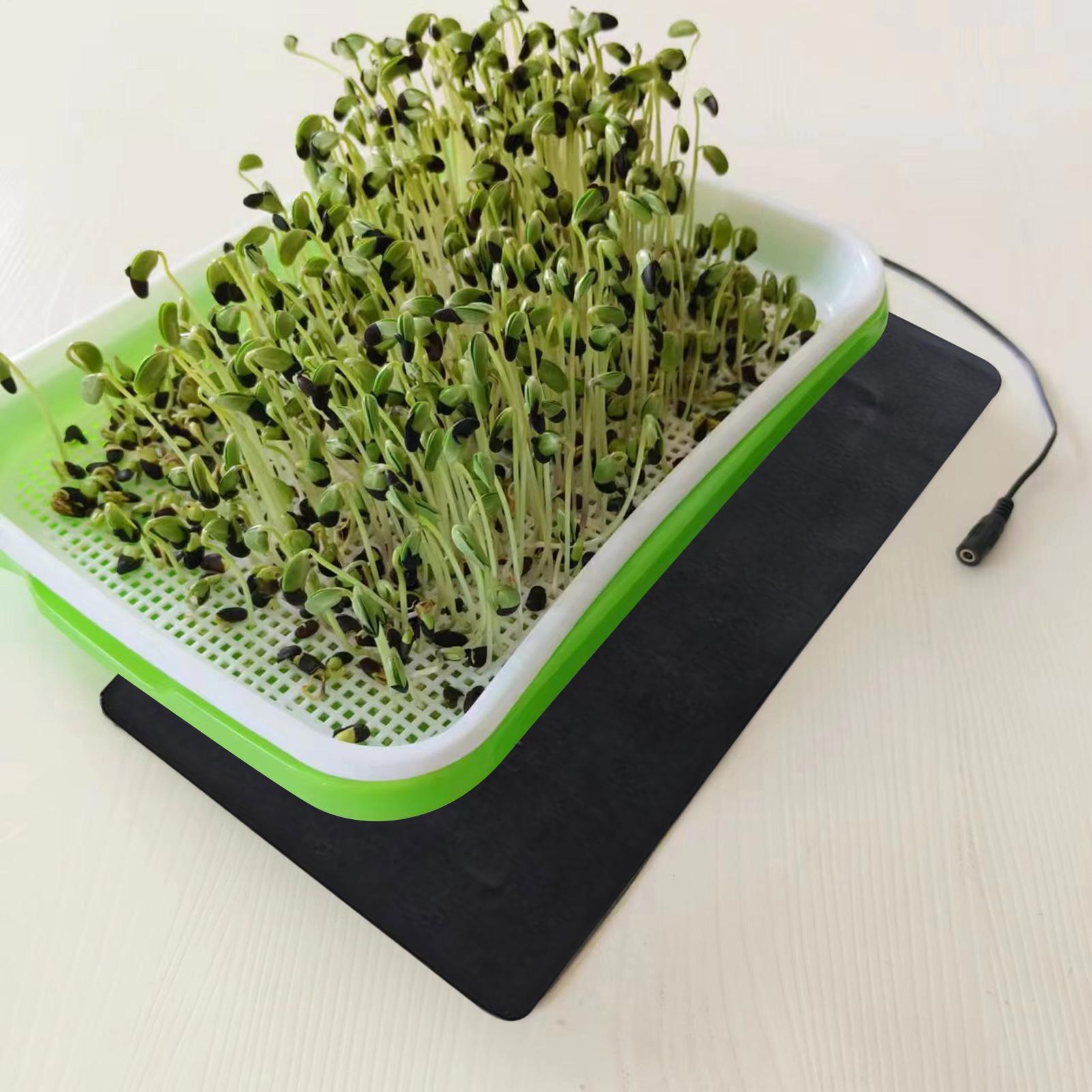Alfombrilla Térmica para Plánt - Seedling Heat Mat reseña y precio