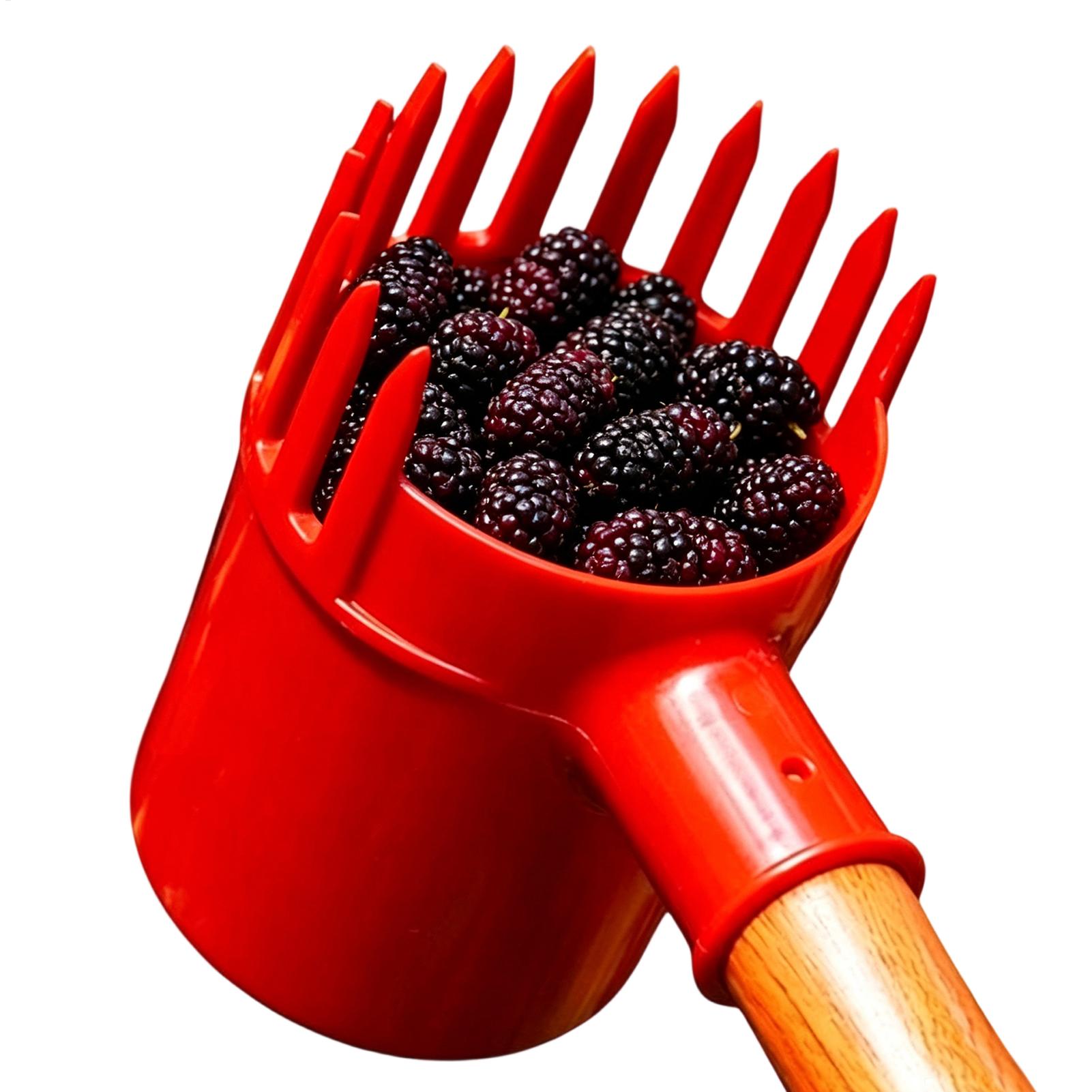Recolector de Bayas Portátil,  - Farming Tools For Agriculture reseña y precio