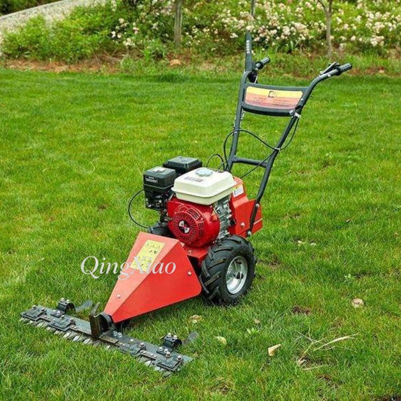 Cortadora de Césped de 6.5Hp y - Agriculture Farming Job reseña y precio